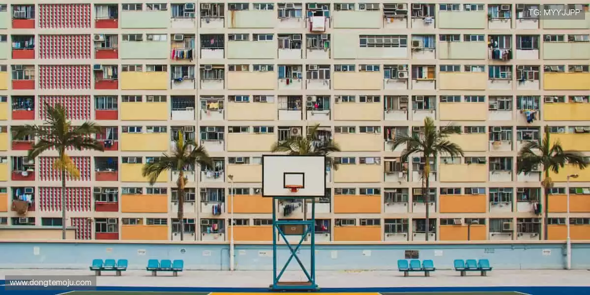 决战时刻,直播间的心跳比秒表更快!⚡